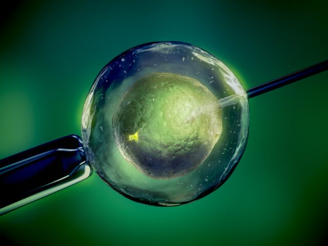 Die in- vitro Fertilisation in acht Schritten